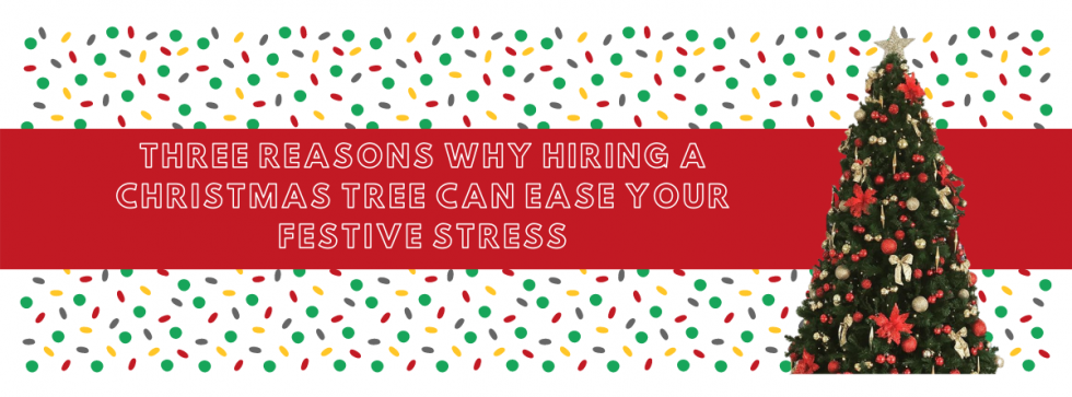 Hiring a Christmas | Christmas Tree Hire, Newcastle